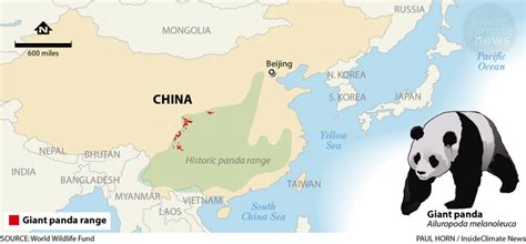 where are pandas found in china